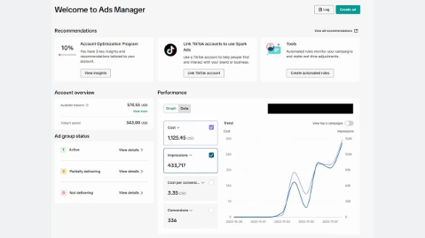 TikTok Ads — 336 conversions